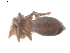  ( - BIOUG00198-H01)  @11 [ ] CC-0  G. Blagoev 2010 Unspecified