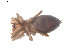 ( - BIOUG00198-H02)  @12 [ ] CC-0  G. Blagoev 2010 Unspecified