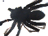  ( - BIOUG00198-H03)  @12 [ ] CC-0  G. Blagoev 2010 Unspecified