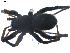  ( - BIOUG00198-H04)  @12 [ ] CC-0  G. Blagoev 2010 Unspecified
