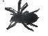  ( - BIOUG00198-H06)  @12 [ ] CC-0  G. Blagoev 2010 Unspecified