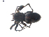  ( - BIOUG00198-H07)  @12 [ ] CC-0  G. Blagoev 2010 Unspecified