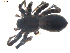  ( - BIOUG00198-H08)  @12 [ ] CC-0  G. Blagoev 2010 Unspecified