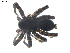  ( - BIOUG00198-H09)  @12 [ ] CC-0  G. Blagoev 2010 Unspecified