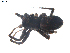  ( - BIOUG00198-H10)  @12 [ ] CC-0  G. Blagoev 2010 Unspecified