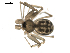  ( - BIOUG00509-D08)  @12 [ ] CC-0  G. Blagoev 2010 Unspecified