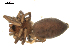  ( - BIOUG00509-E02)  @12 [ ] CC-0  G. Blagoev 2010 Unspecified