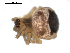 ( - BIOUG00509-H05)  @12 [ ] CC-0  G. Blagoev 2010 Unspecified