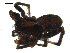  ( - BIOUG00510-A08)  @13 [ ] CC-0  G. Blagoev 2010 Unspecified