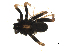  ( - BIOUG00510-B07)  @12 [ ] CC-0  G. Blagoev 2010 Unspecified