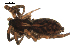  ( - BIOUG00510-D03)  @12 [ ] CC-0  G. Blagoev 2010 Unspecified