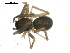  ( - BIOUG00510-D09)  @12 [ ] CC-0  G. Blagoev 2010 Unspecified