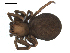  ( - BIOUG00510-E07)  @12 [ ] CC-0  G. Blagoev 2010 Unspecified