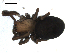  ( - BIOUG00510-E08)  @12 [ ] CC-0  G. Blagoev 2010 Unspecified