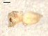  ( - BIOUG00510-F11)  @12 [ ] CC-0  G. Blagoev 2010 Unspecified