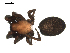  ( - BIOUG00510-G12)  @12 [ ] CC-0  G. Blagoev 2010 Unspecified