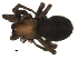  ( - BIOUG00510-H01)  @12 [ ] CC-0  G. Blagoev 2010 Unspecified