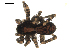  ( - BIOUG00511-A06)  @12 [ ] CC-0  G. Blagoev 2010 Unspecified