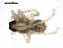  ( - BIOUG00511-A09)  @12 [ ] CC-0  G. Blagoev 2010 Unspecified