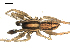  ( - BIOUG00511-D03)  @12 [ ] CC-0  G. Blagoev 2010 Unspecified
