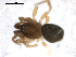  ( - BIOUG00511-D11)  @12 [ ] CC-0  G. Blagoev 2010 Unspecified