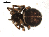  ( - BIOUG00511-E11)  @12 [ ] CC-0  G. Blagoev 2010 Unspecified
