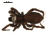  ( - BIOUG00511-G09)  @12 [ ] CC-0  G. Blagoev 2010 Unspecified