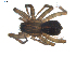  ( - BIOUG00512-A11)  @13 [ ] CC-0  G. Blagoev 2010 Unspecified