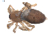  ( - BIOUG00512-A12)  @13 [ ] CC-0  G. Blagoev 2010 Unspecified