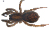  ( - BIOUG00512-B10)  @13 [ ] CC-0  G. Blagoev 2010 Unspecified