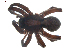 ( - BIOUG00512-C01)  @13 [ ] CC-0  G. Blagoev 2010 Unspecified