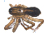  ( - BIOUG00512-E05)  @13 [ ] CC-0  G. Blagoev 2010 Unspecified
