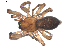  ( - BIOUG00512-E10)  @14 [ ] CC-0  G. Blagoev 2010 Unspecified