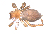  ( - BIOUG00512-F01)  @12 [ ] CC-0  G. Blagoev 2010 Unspecified