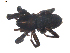  ( - BIOUG00512-G07)  @13 [ ] CC-0  G. Blagoev 2010 Unspecified