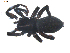  ( - BIOUG00512-G09)  @13 [ ] CC-0  G. Blagoev 2010 Unspecified