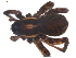  ( - BIOUG00512-H04)  @12 [ ] CC-0  G. Blagoev 2010 Unspecified