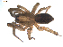  ( - BIOUG00513-C01)  @14 [ ] CC-0  G. Blagoev 2010 Unspecified