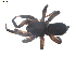  ( - BIOUG00513-D02)  @13 [ ] CC-0  G. Blagoev 2010 Unspecified