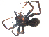  ( - BIOUG00513-E03)  @12 [ ] CC-0  G. Blagoev 2010 Unspecified