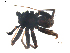  ( - BIOUG00513-G02)  @12 [ ] CC-0  G. Blagoev 2010 Unspecified