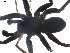  ( - BIOUG00513-H10)  @12 [ ] CC-0  G. Blagoev 2010 Unspecified