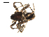  ( - BIOUG00514-A06)  @12 [ ] CC-0  G. Blagoev 2010 Unspecified