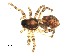  ( - BIOUG00514-A09)  @12 [ ] CC-0  G. Blagoev 2010 Unspecified