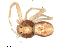  ( - BIOUG00514-B03)  @13 [ ] CC-0  G. Blagoev 2010 Unspecified