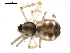  ( - BIOUG00514-C01)  @12 [ ] CC-0  G. Blagoev 2010 Unspecified