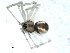  ( - BIOUG00514-C03)  @12 [ ] CC-0  G. Blagoev 2010 Unspecified
