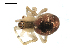  ( - BIOUG00514-C06)  @12 [ ] CC-0  G. Blagoev 2010 Unspecified