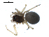  ( - BIOUG00514-D01)  @12 [ ] CC-0  G. Blagoev 2010 Unspecified