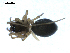  ( - BIOUG00514-D04)  @12 [ ] CC-0  G. Blagoev 2010 Unspecified